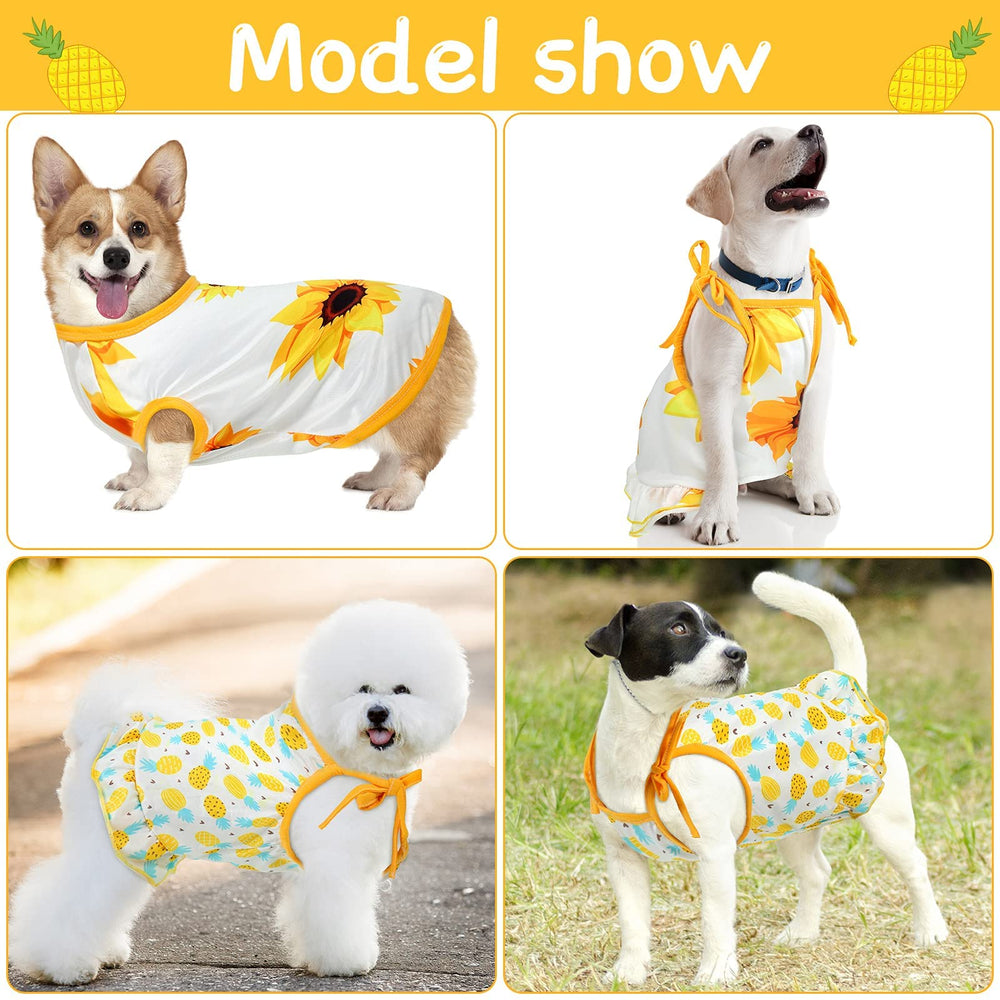 Frienda camiseta perro girasol, colorido y cómodo para ejercitarse.