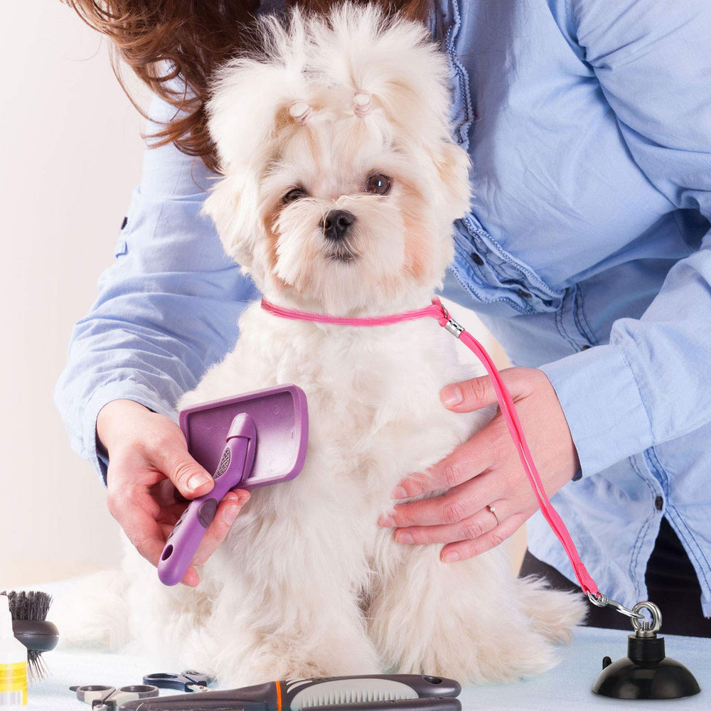 Frienda correas de grooming para mascotas, ideales para baño y cuidado
