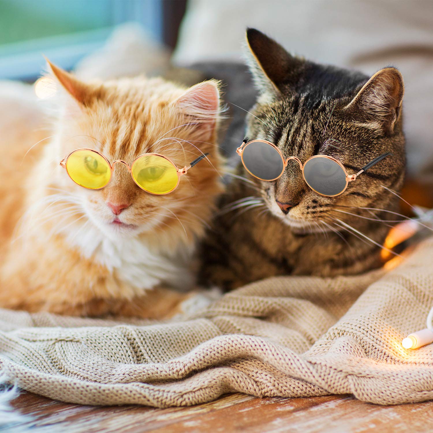 Frienda gafas para mascotas, lentes acrílicos cómodos para uso diario.