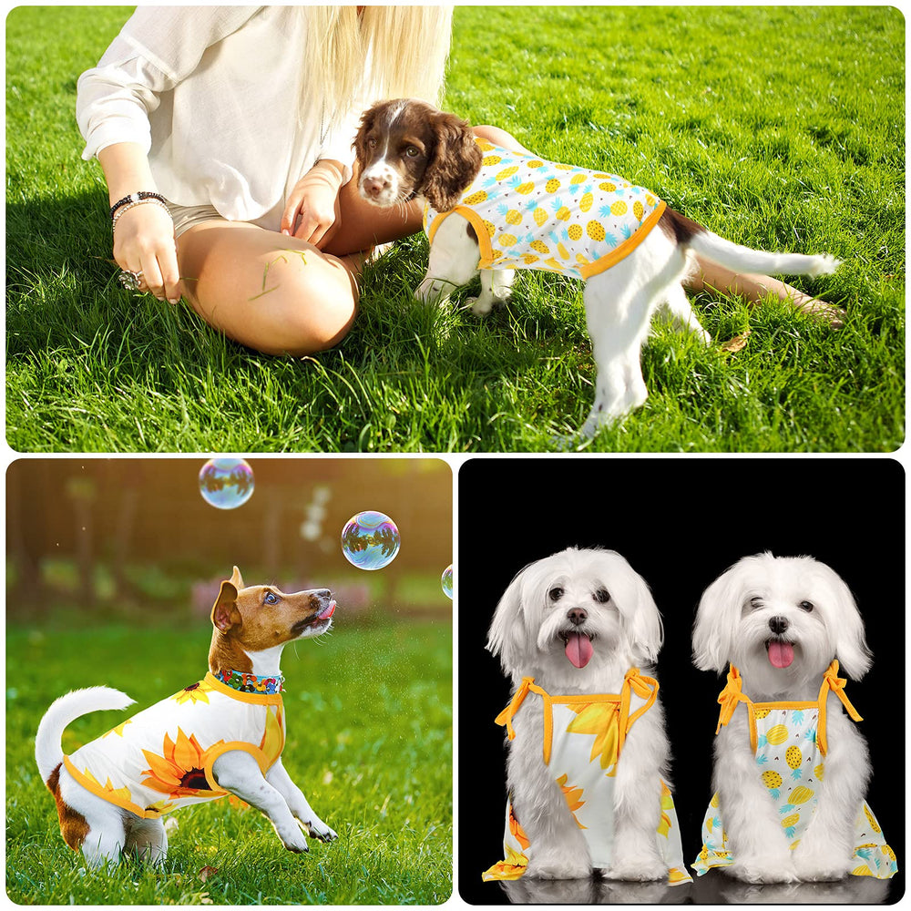 Frienda uso exterior ideal para paseos y juegos al aire libre.