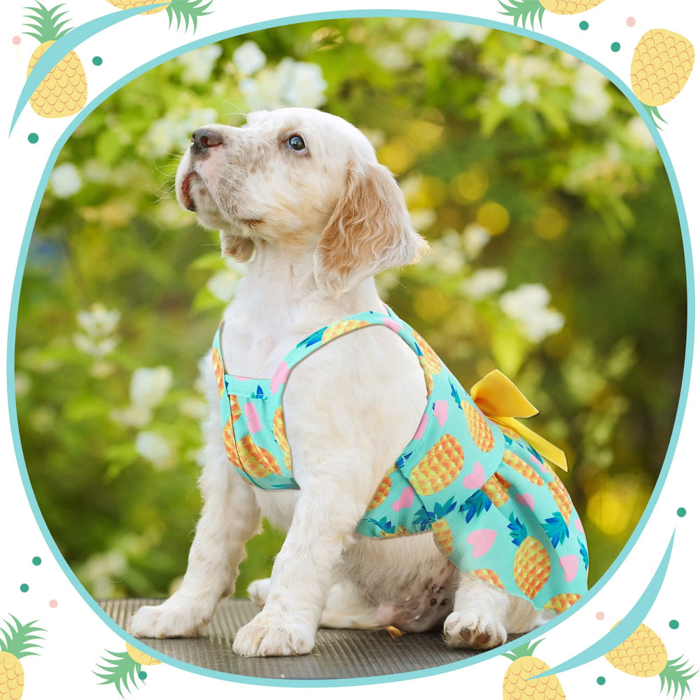 Frienda vestido para perro con talla ajustable, pensado para diferentes razas pequeñas.