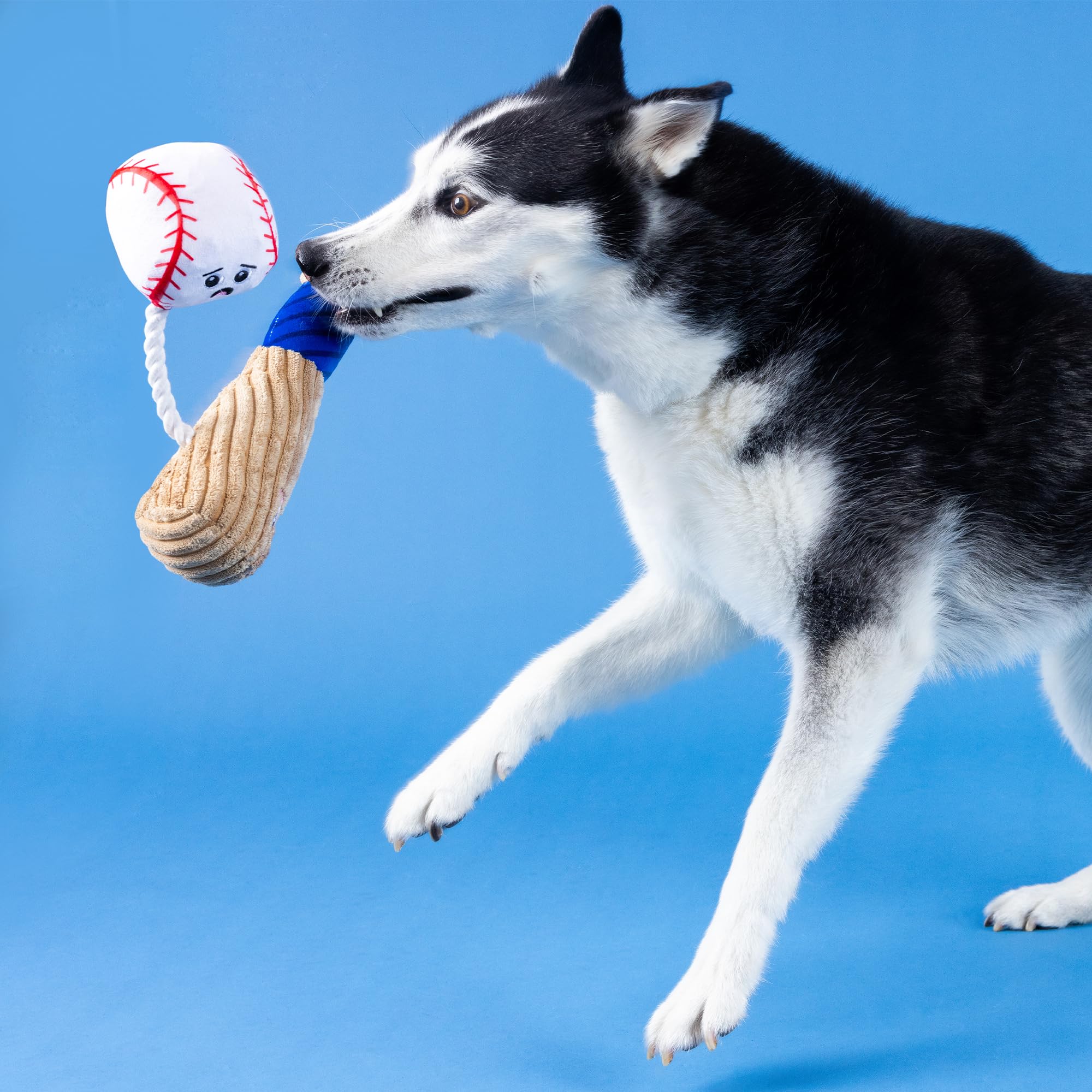 Fringe Batter Up para todo tipo de perros: ideal para juego variado