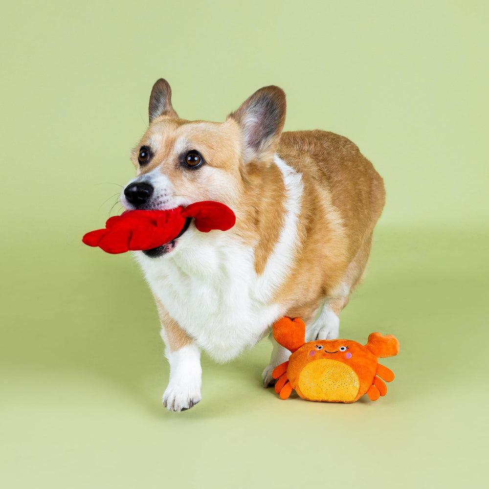 Fringe Studio juguete peluche para perros de todos los tamaños.