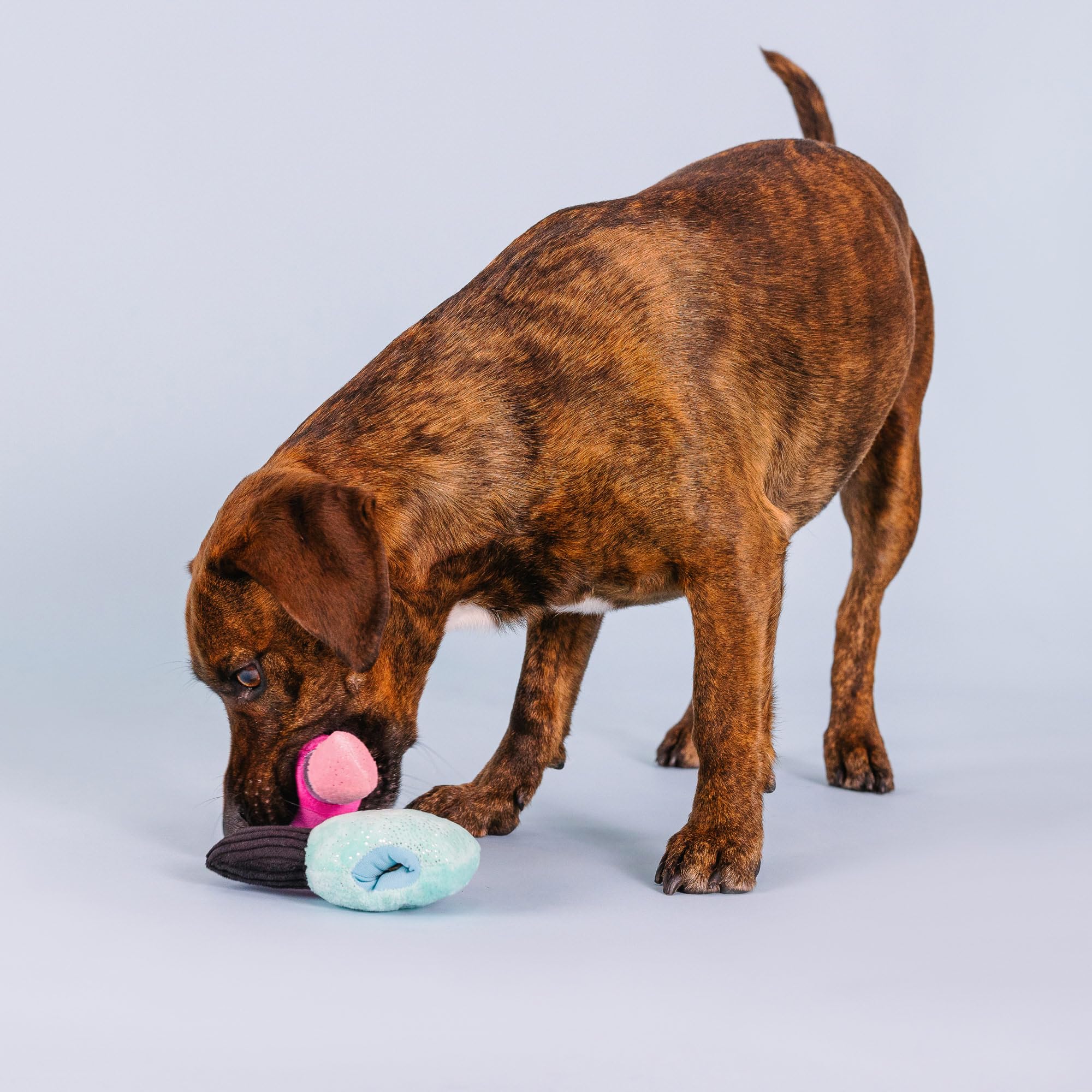 Fringe Studio Juguete Doble para Perro, ideal para juego interactivo.