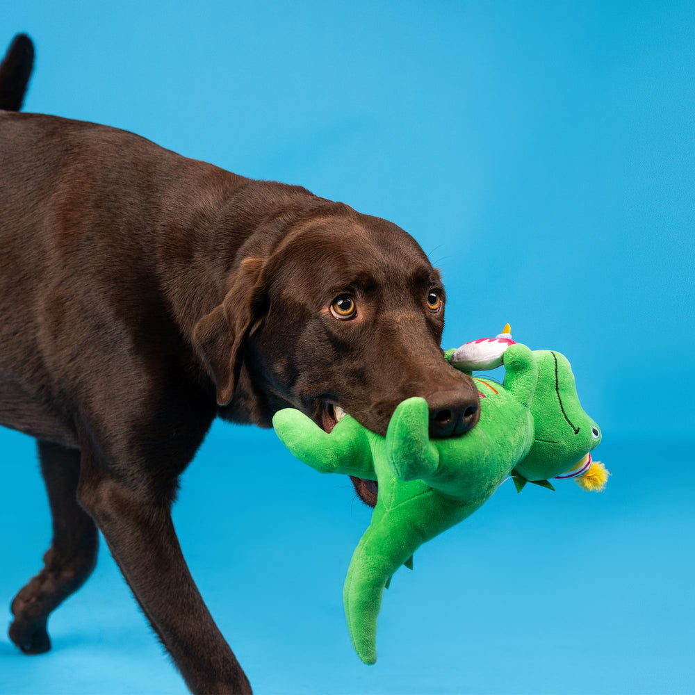 Fringe Studio Juguete de peluche I’m How Old? ideal para jugar al fetch.