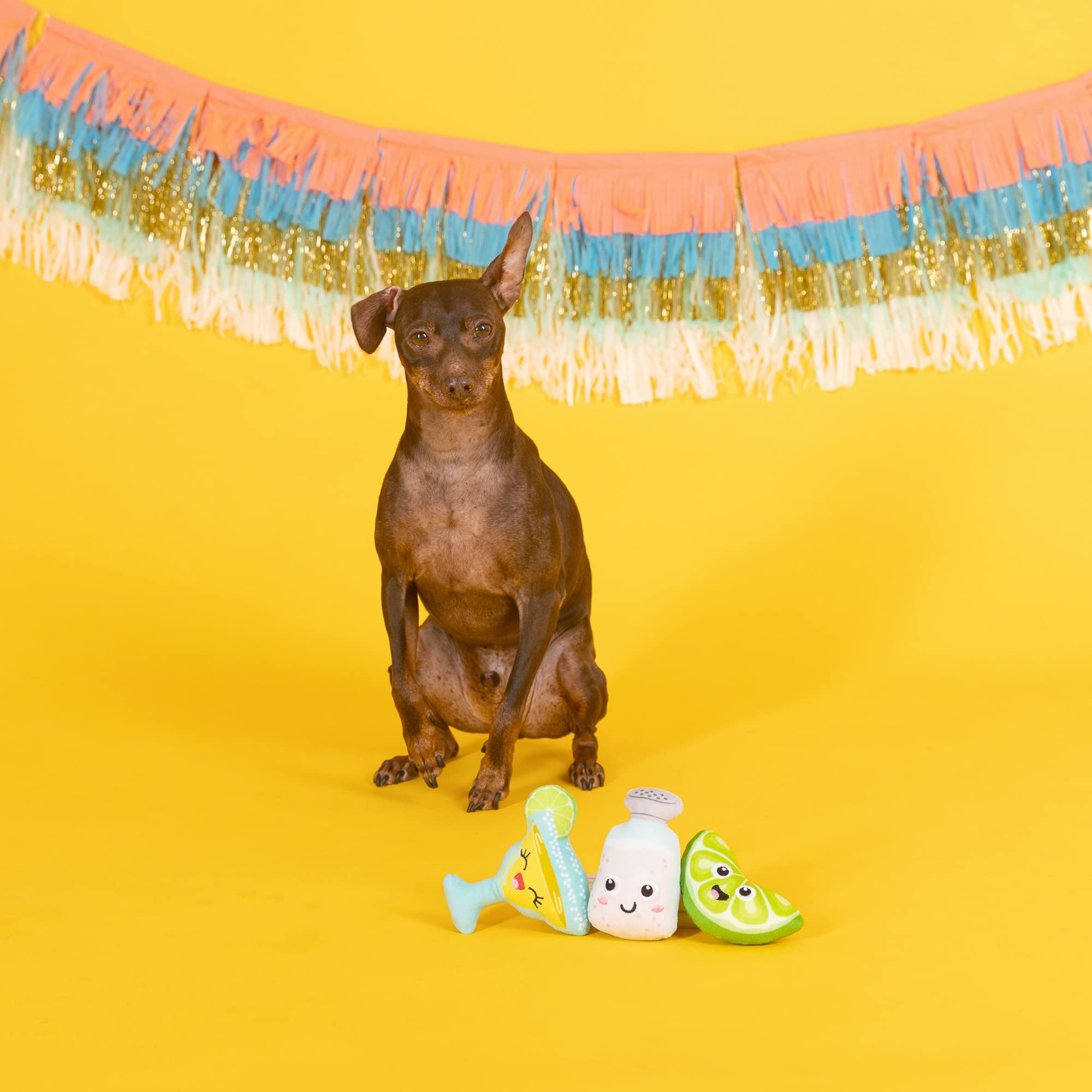 Fringe Studio: juguete de talla extra-pequena para perros pequeños, ideal para morder y abrazar.