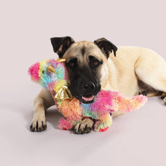 Fringe Studio Dragón Arcoíris perfecto para buscar y jugar con tu perro.