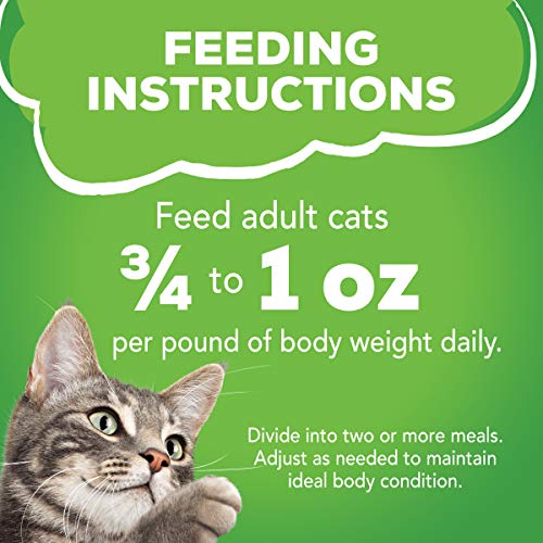 Friskies Envase de Latas Reciclable: opción ecológica y práctica para el día a día.