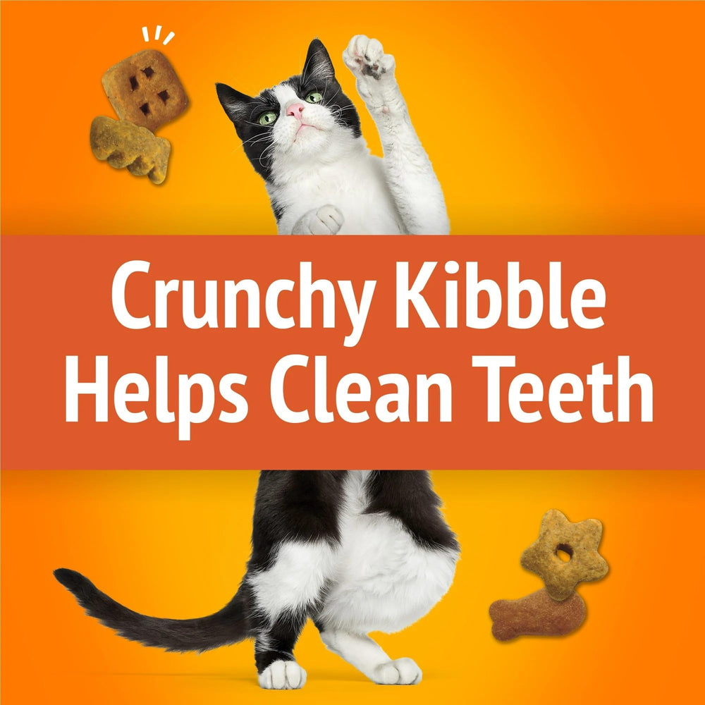 Friskies formas divertidas para juegos y recompensa.