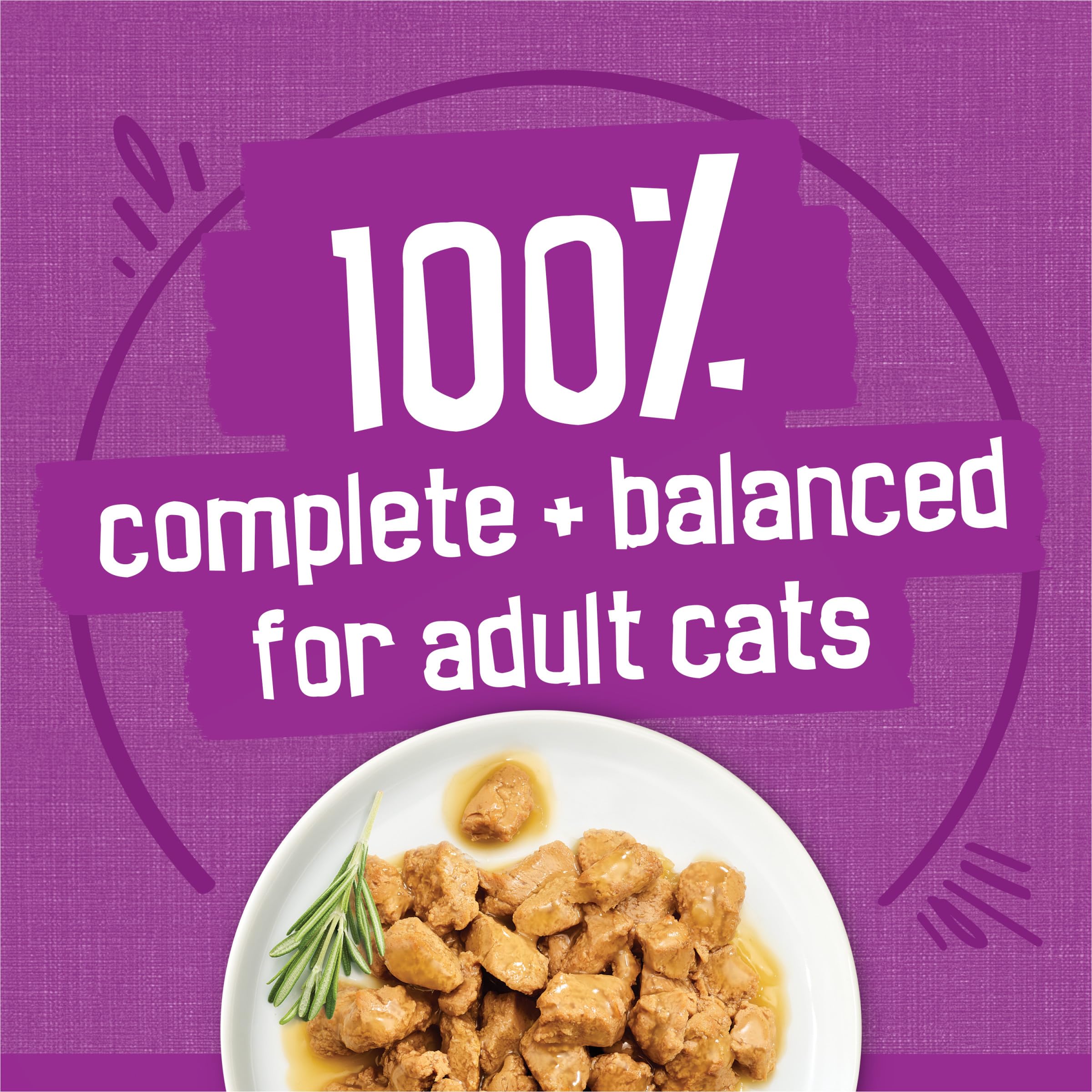 Friskies Gravy: lata de pavo bocados carne para textura atractiva.