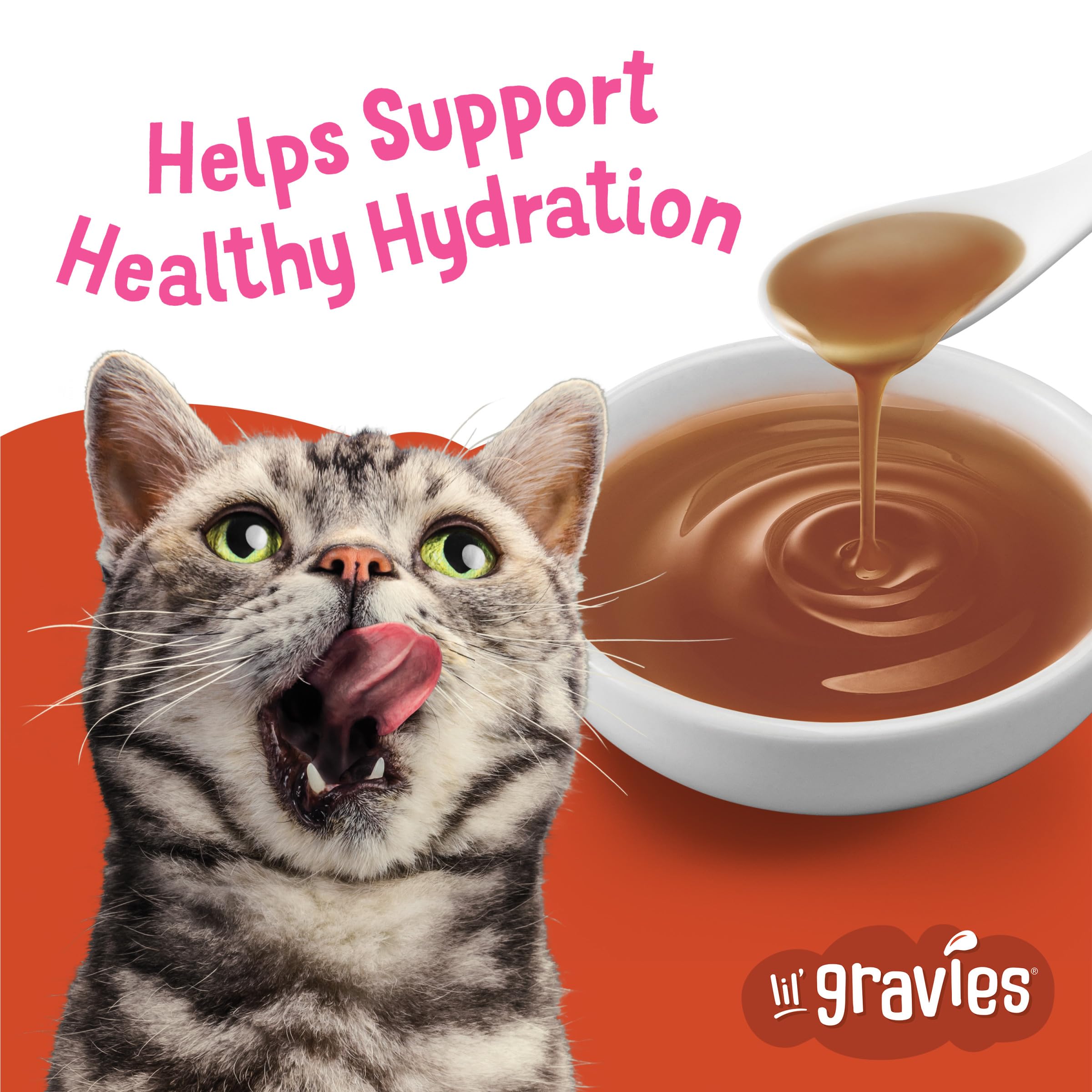 Friskies Lil' Gravies Saumon – sauce onctueuse pour agrémenter le repas.