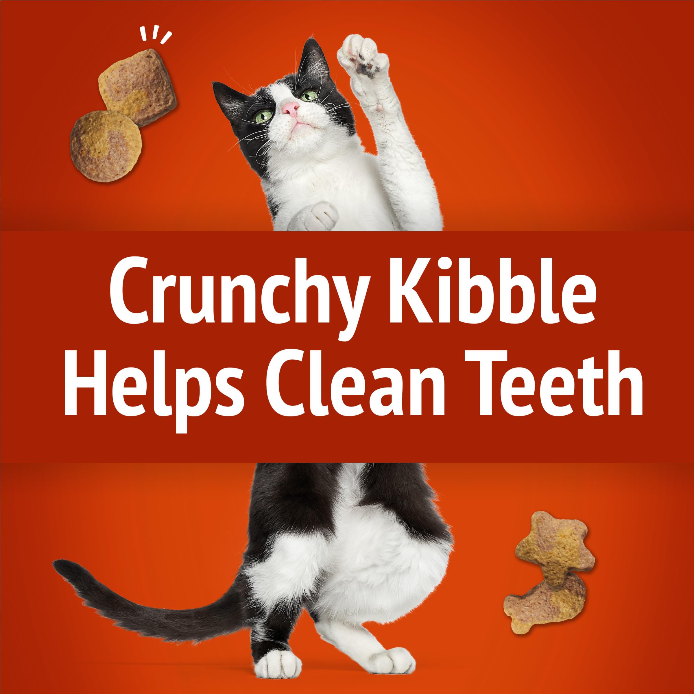 Friskies Party Mix Gravy-licious diseños atractivos para gatos curiosos