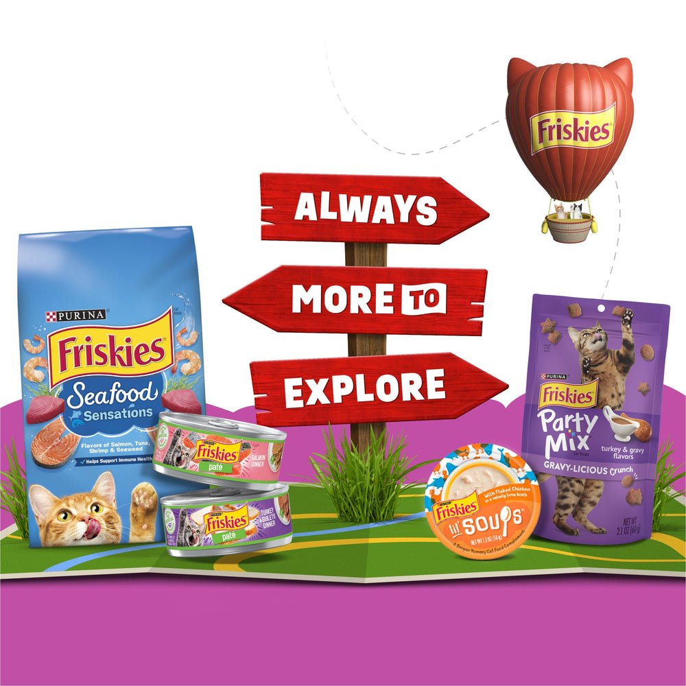 Friskies: pedacitos y caldo, porción individual; opción sabrosa para entre comidas.