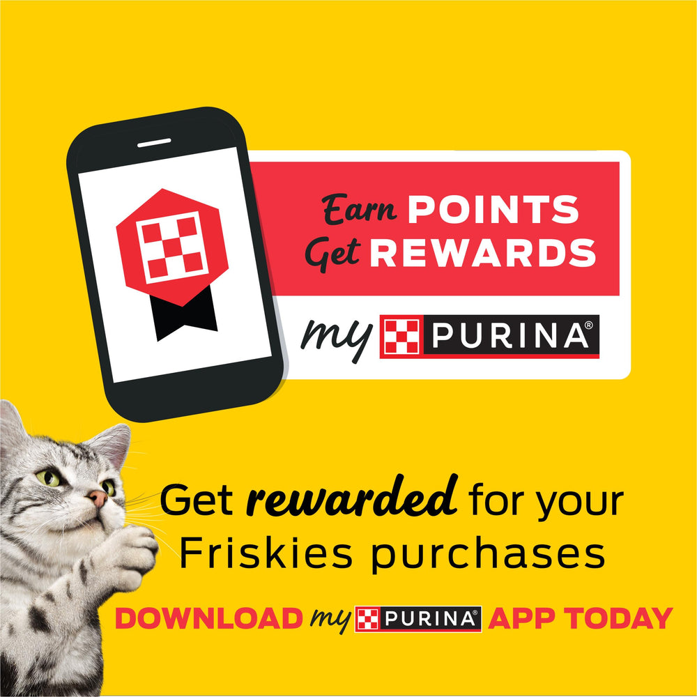 Friskies ritual de comida, hace más entretenida la rutina diaria de tu gato