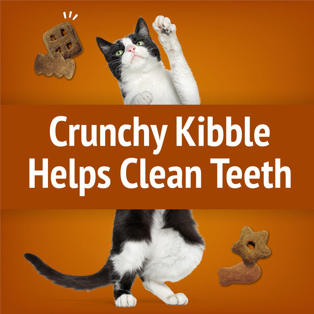 Snack completo para gatos adultos con equilibrio nutricional