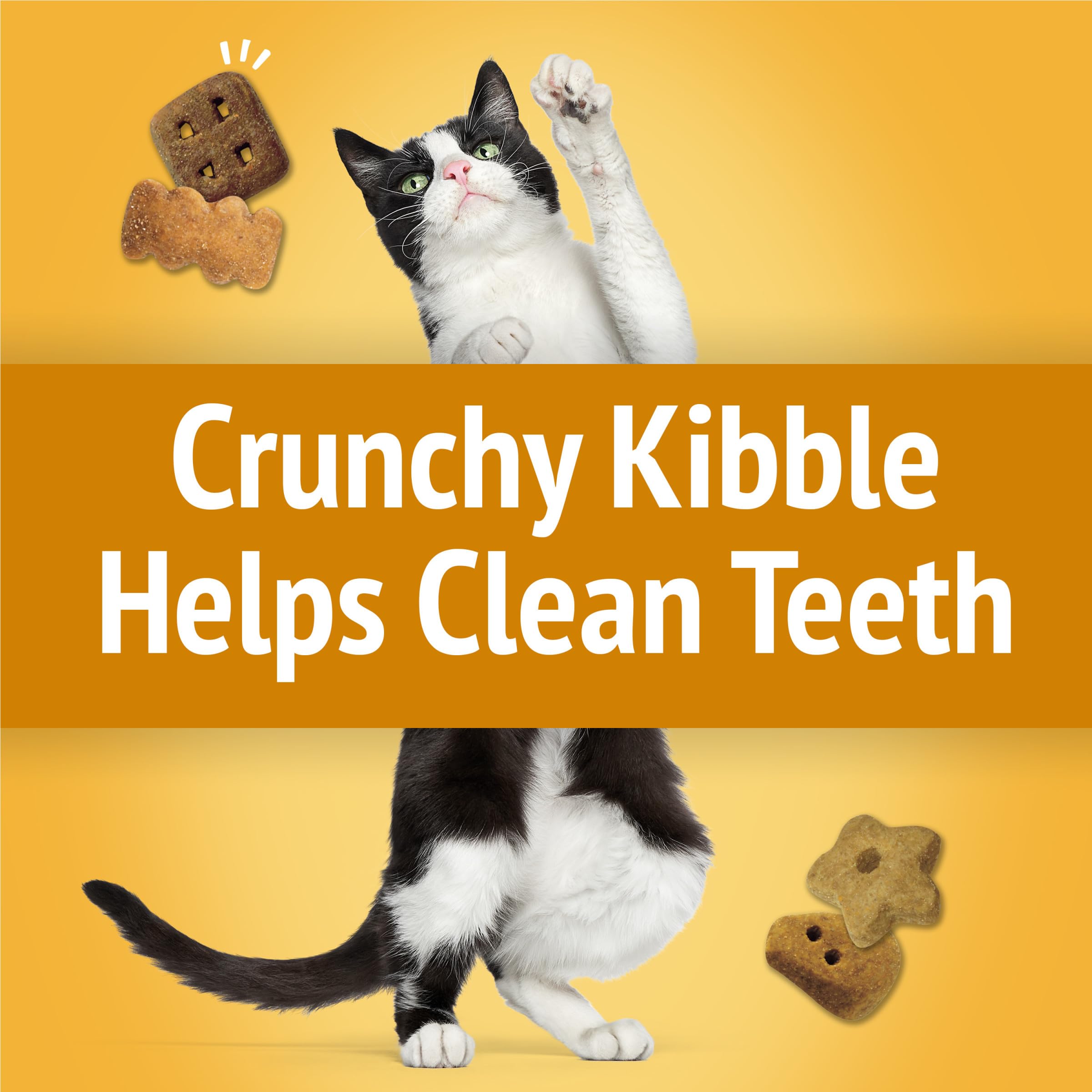 Friskies texture croustillante aide a nettoyer les dents et divertir le chat