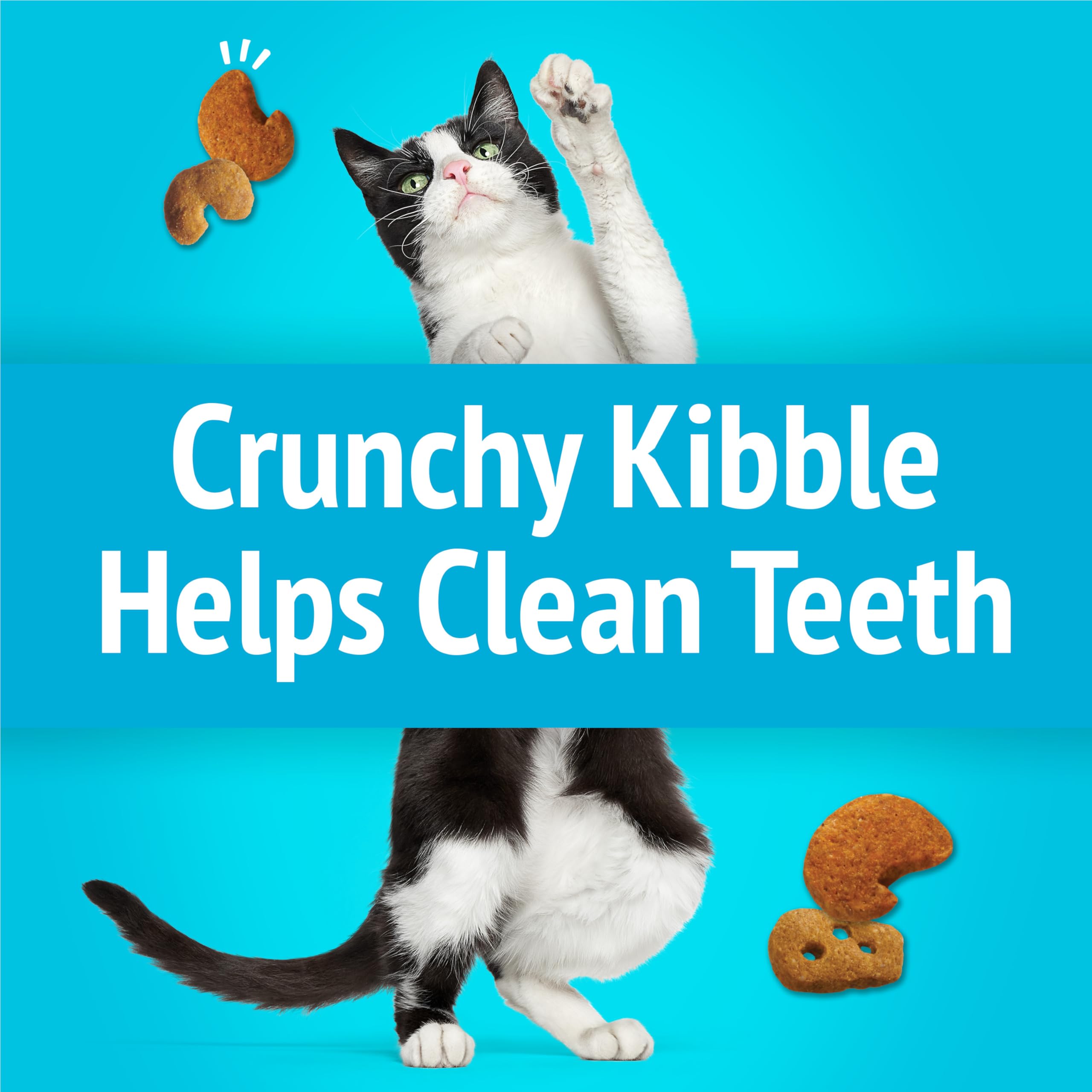 Friskies Party Mix: sabor queso real y mariscos en cada bocado.