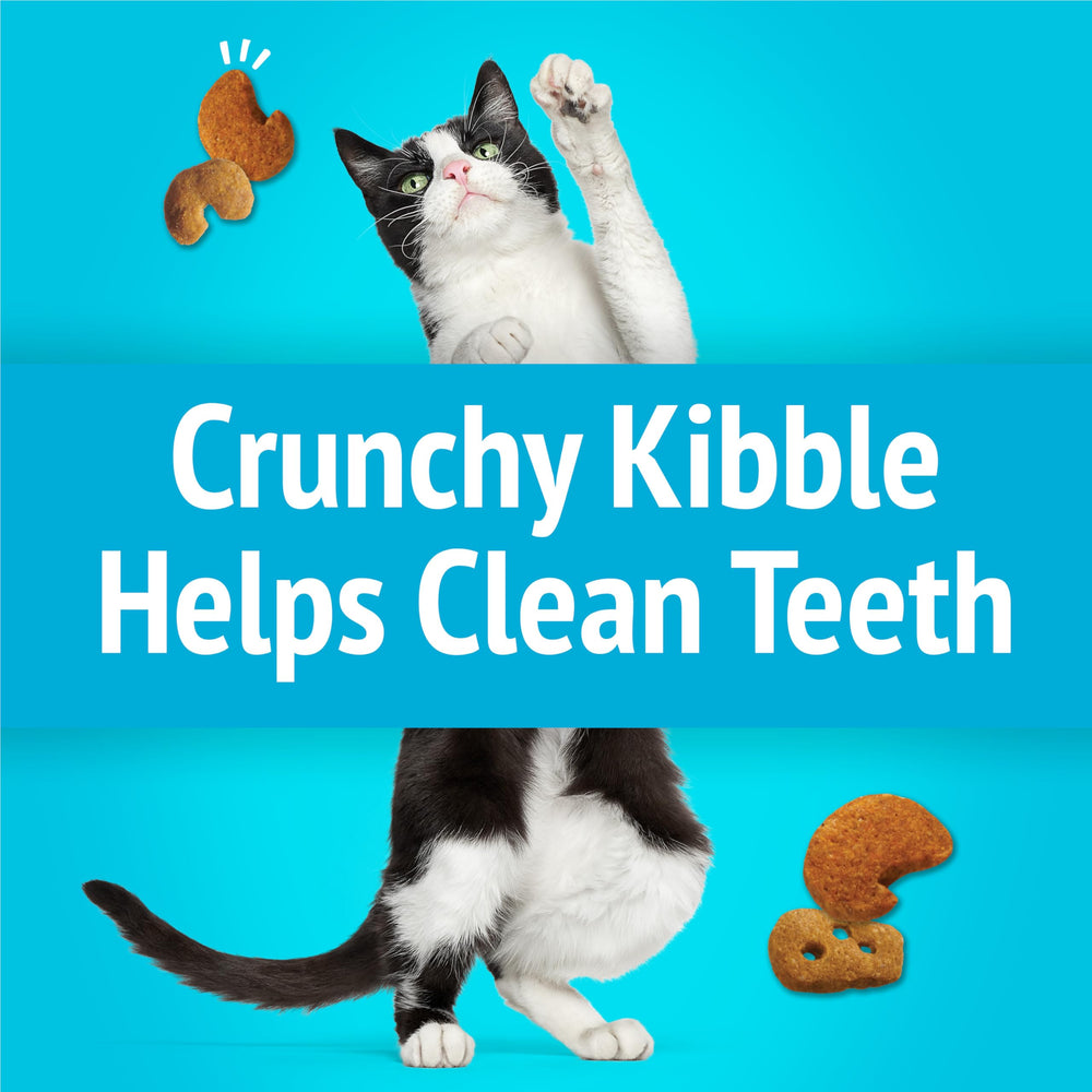 Friskies Party Mix: sabor queso real y mariscos en cada bocado.