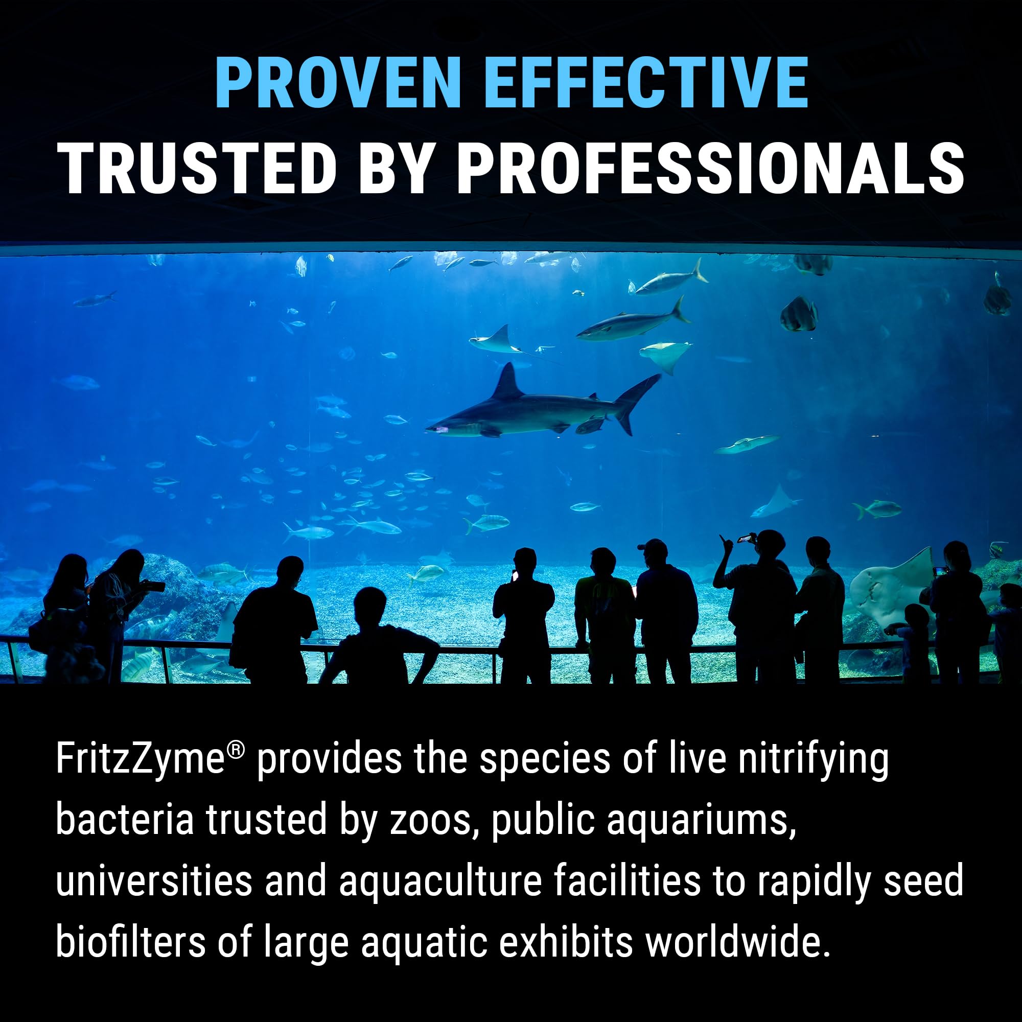 FritzZyme 7: compatible con sistemas de agua salobre para mayor versatilidad.