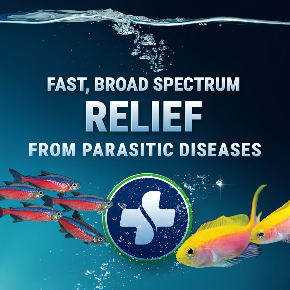 Fritz Aquatics ParaCleanse: empaque práctico para acuario sin dañar plantas