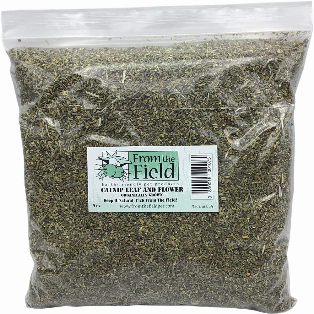From The Field: bolsa de 9 oz de hierba de gato lista para juego y exploración