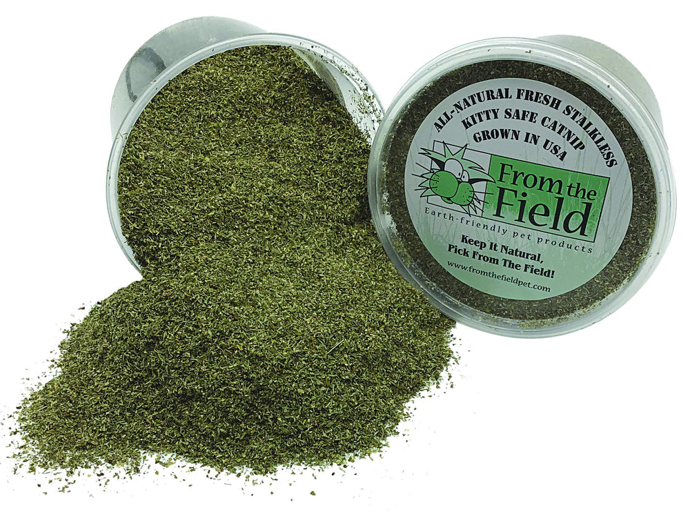 Catnip From The Field, granos negros esterilizados visibles para seguridad