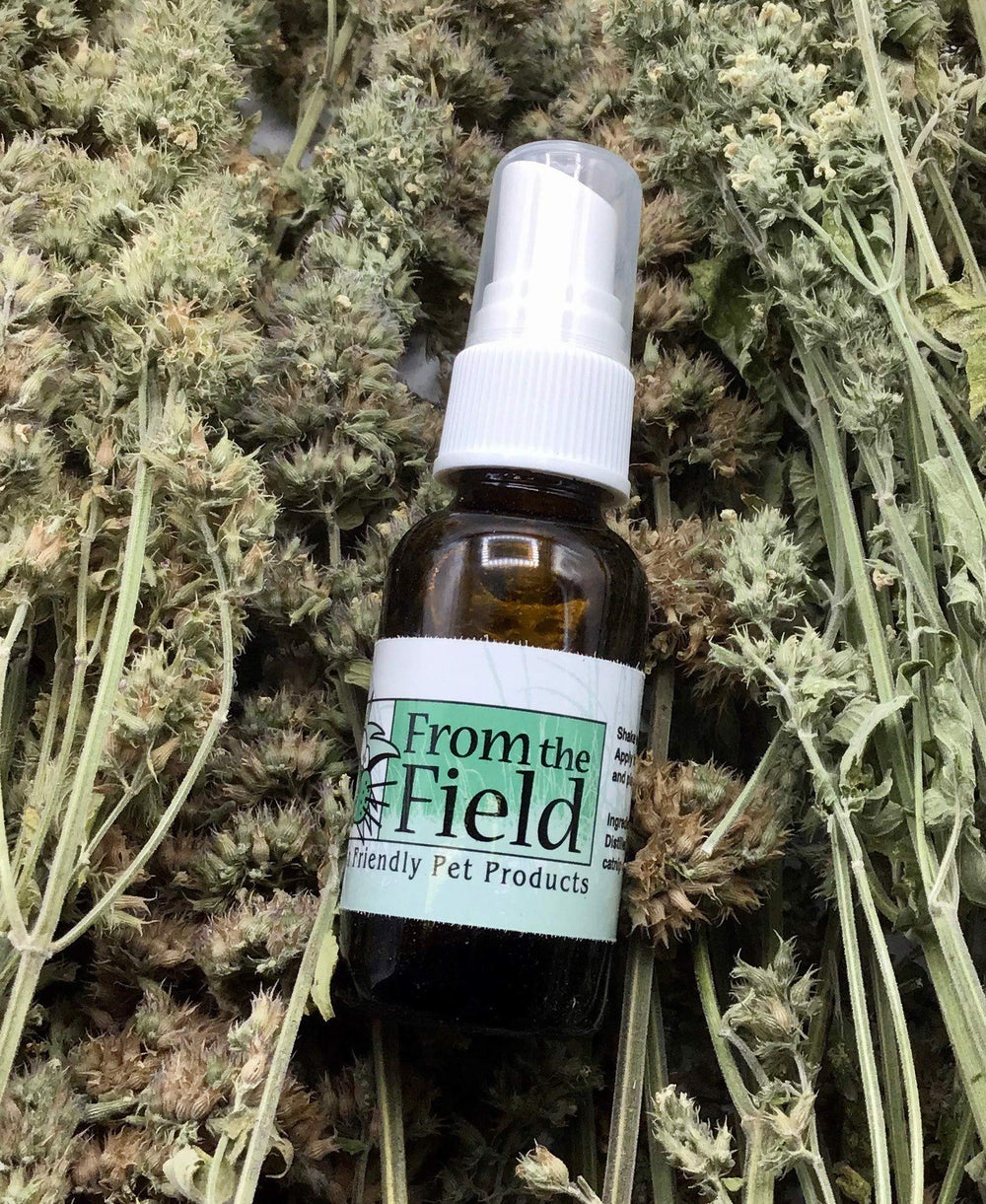 From The Field Catnip Spray Rejuvenator: rejuvenece poste de rascado con aroma natural.