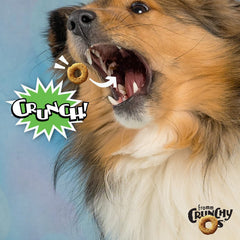 Fromm Crunchy Os Pumpkin Kran Pow, porciones crujientes para perros de todas las edades.