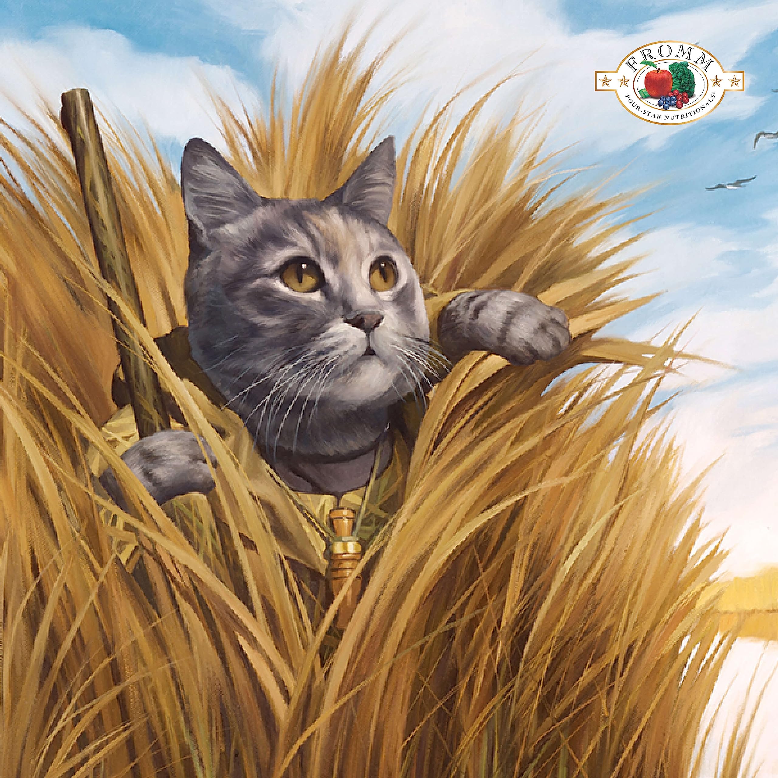 Fromm Four-Star Game Bird para gato con caldo de pavo, sabor y humedad.