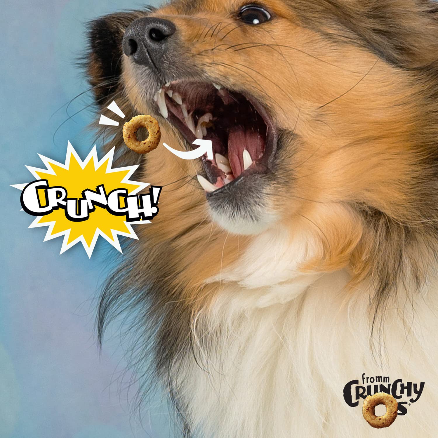 Fromm galletas crujientes arandano azul snack de calidad para perros