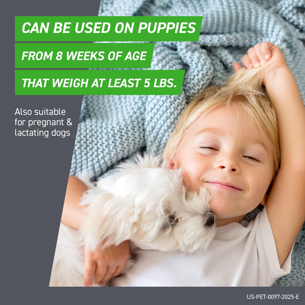 Frontline Plus se distribuye por todo el cuerpo del perro.