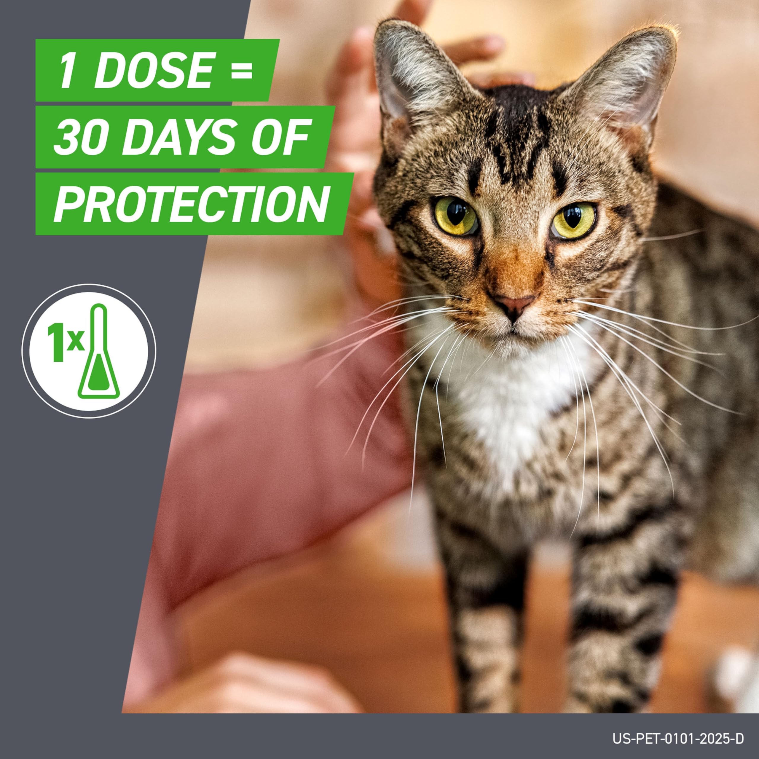 FRONTLINE Plus para gatos: apto para gatitos de ocho semanas o más.