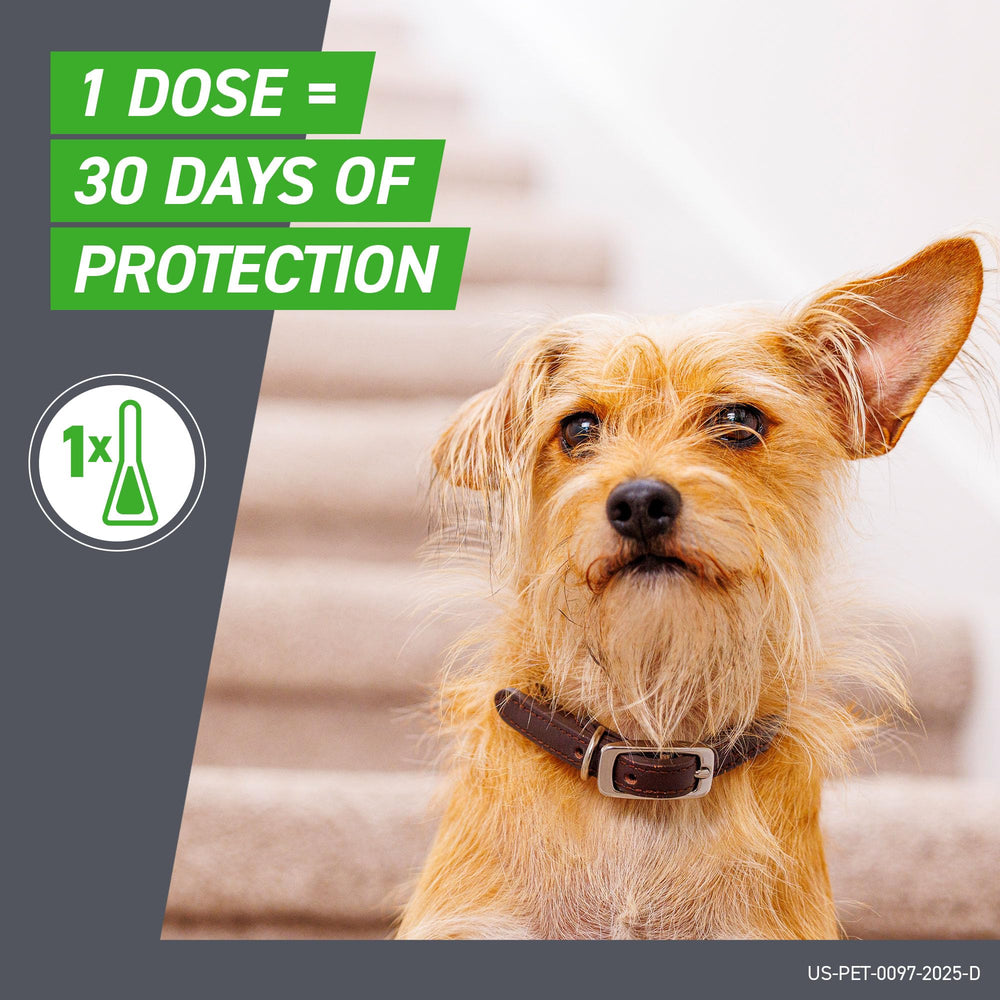 Frontline Plus ofrece protección de 30 días con una dosis mensual.