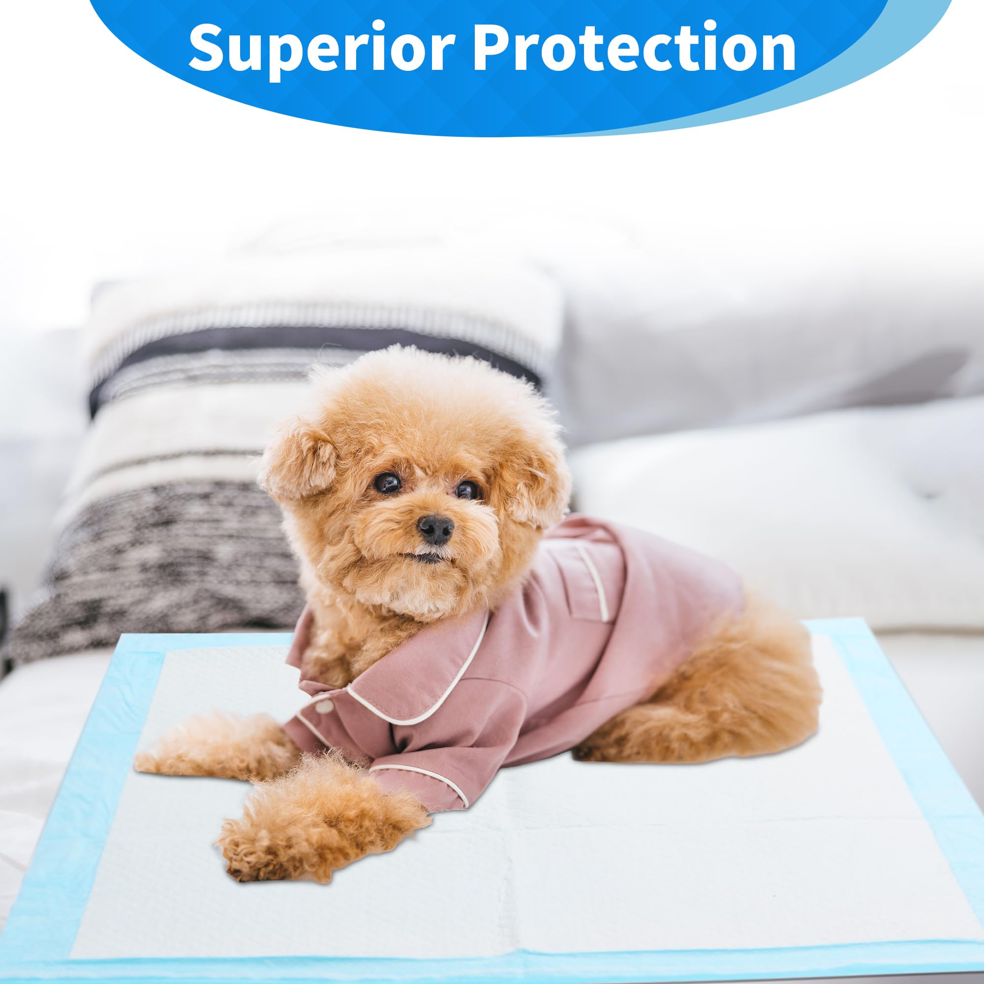 Apto para gatos y perros pequeños durante la convivencia en interiores.