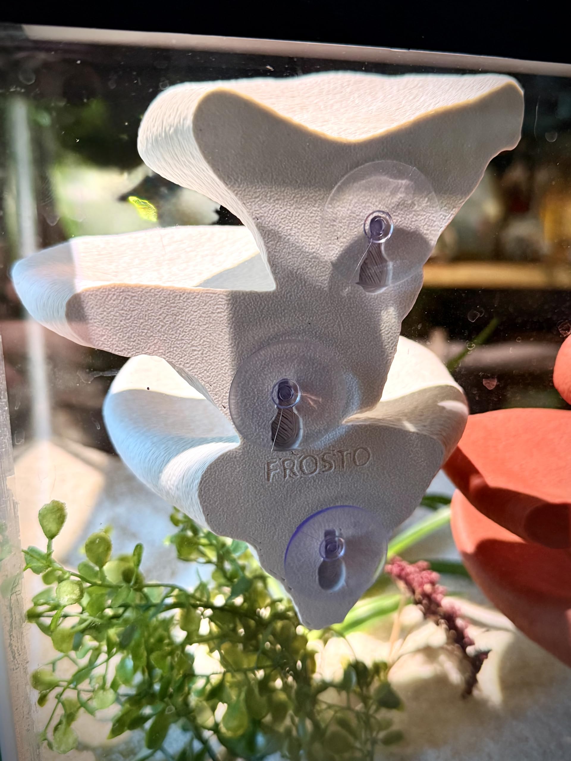 FROSTO instala facil terrario: fijación rápida y sin herramientas.