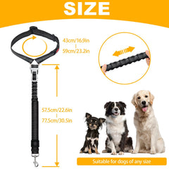 Frskcssd cinturón para perro con hebilla de zinc evita enredos