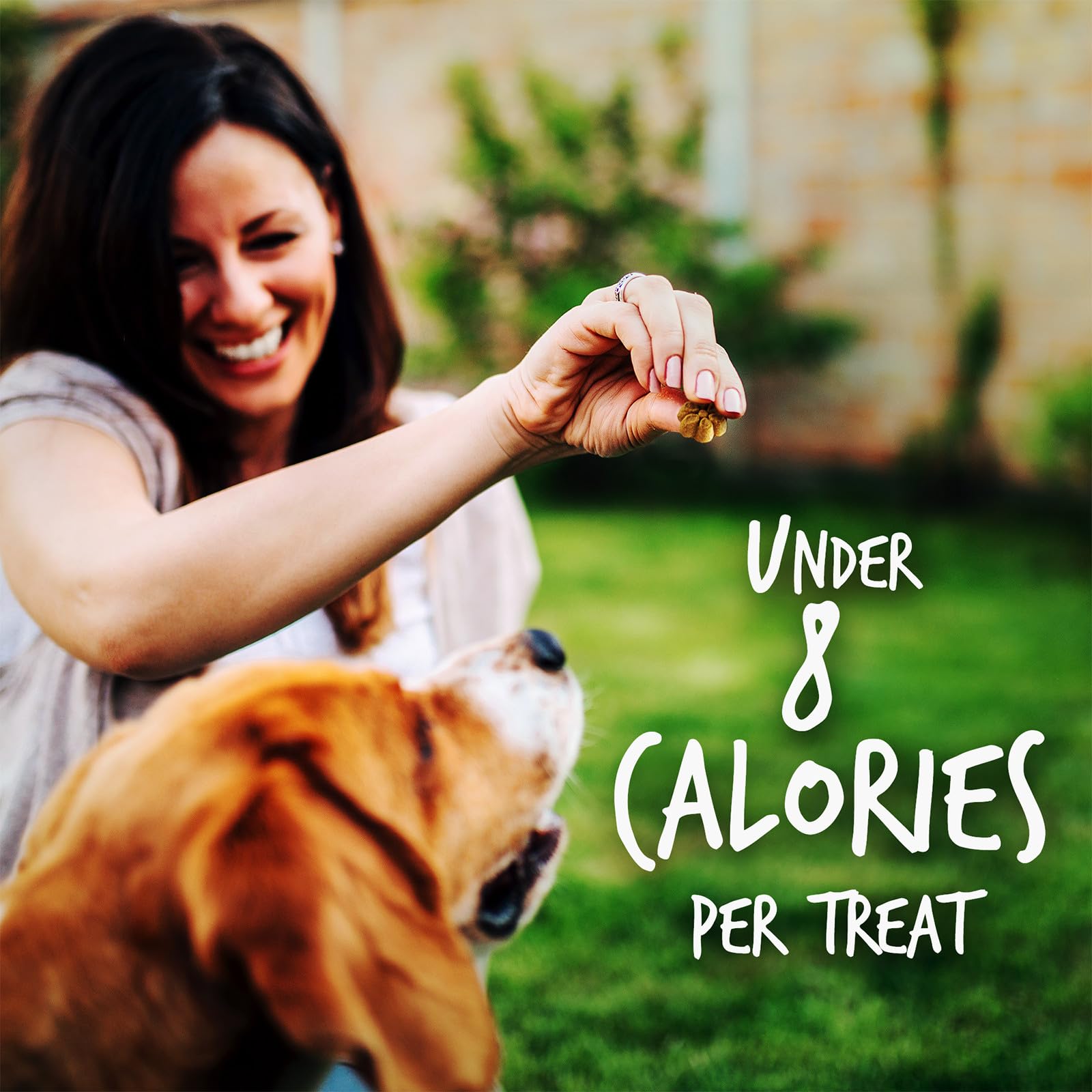 Fruitables 8-calorias-por-galleta, ayuda a premiar sin exceso.