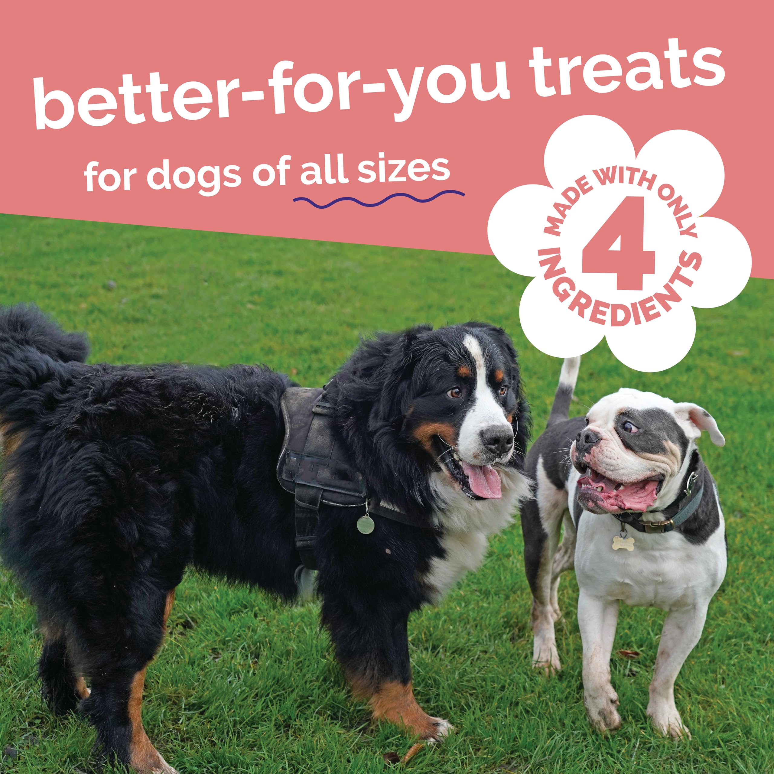 Bocaditos Fruitables: aptos para cachorros y perros de tamaño medio.