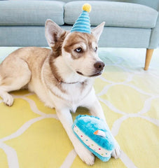 Frymmx diseño festivo con chispas y vela para perros.