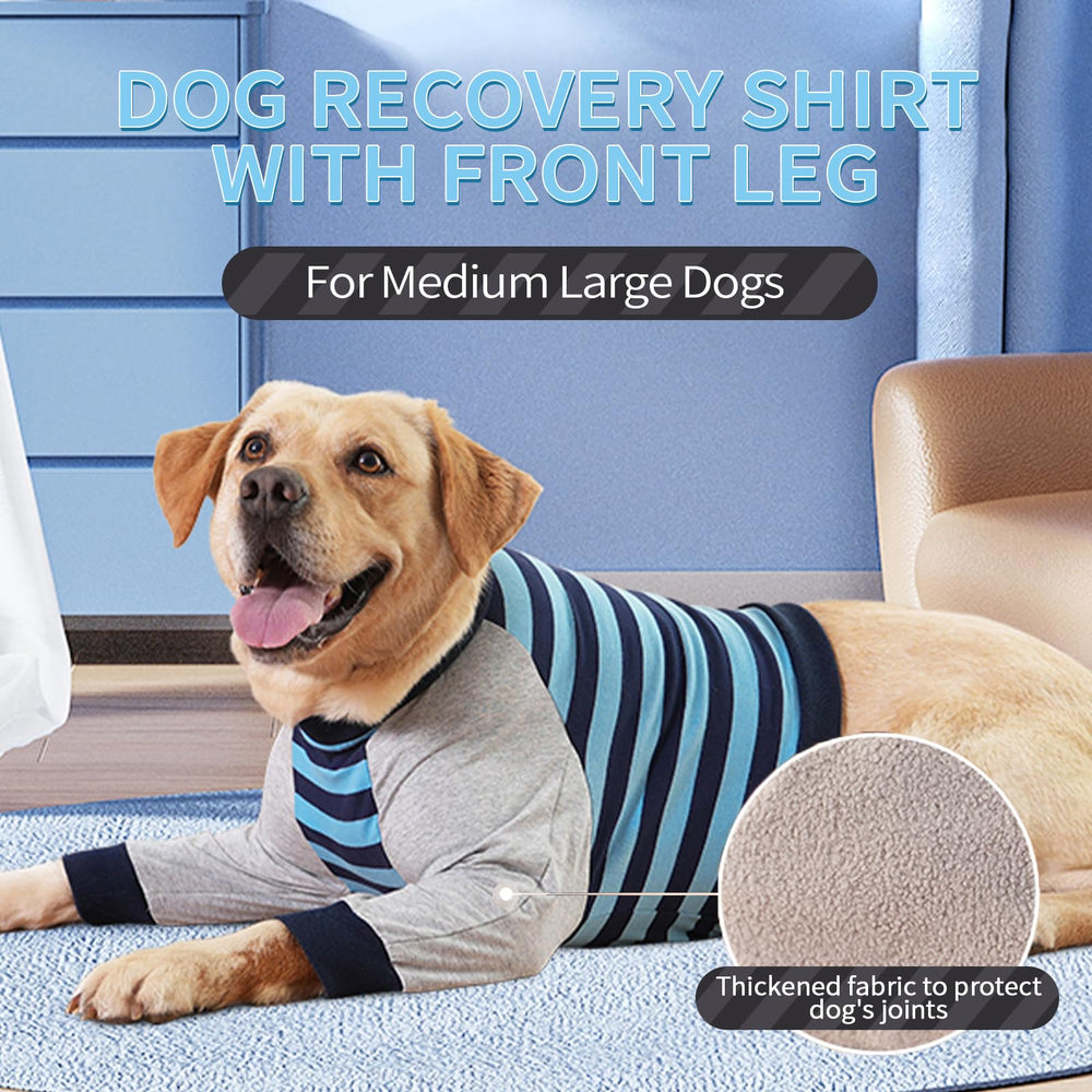 FUAMEY confort diario perro: ideal para uso casero y paseos moderados.