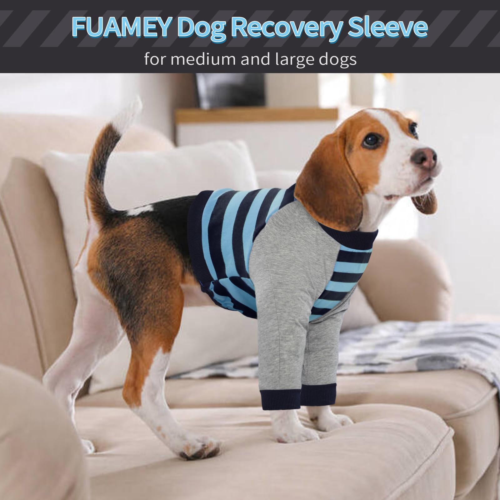 FUAMEY diseño azul a rayas, complemento diario cómodo