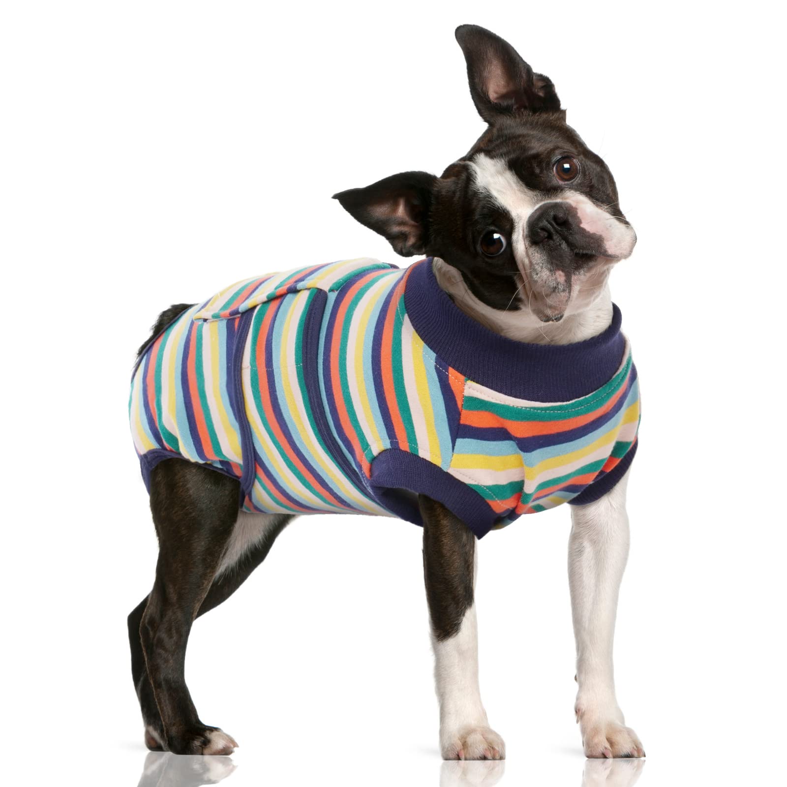 FUAMEY traje de recuperación para perros tras cirugía, protege heridas y facilita movimiento.