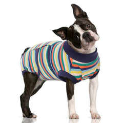 FUAMEY traje de recuperación para perros tras cirugía, protege heridas y facilita movimiento.