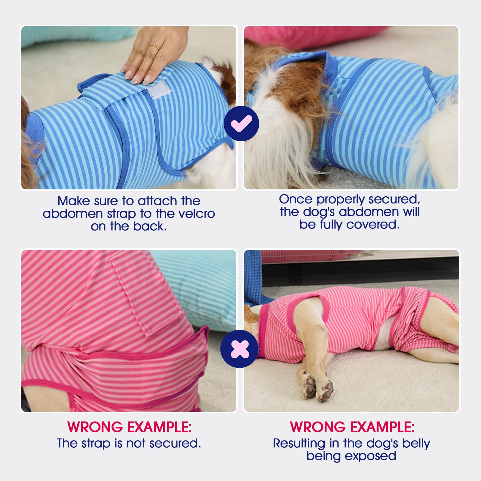 FUAMEY talla XL traje para perros grandes en recuperación.