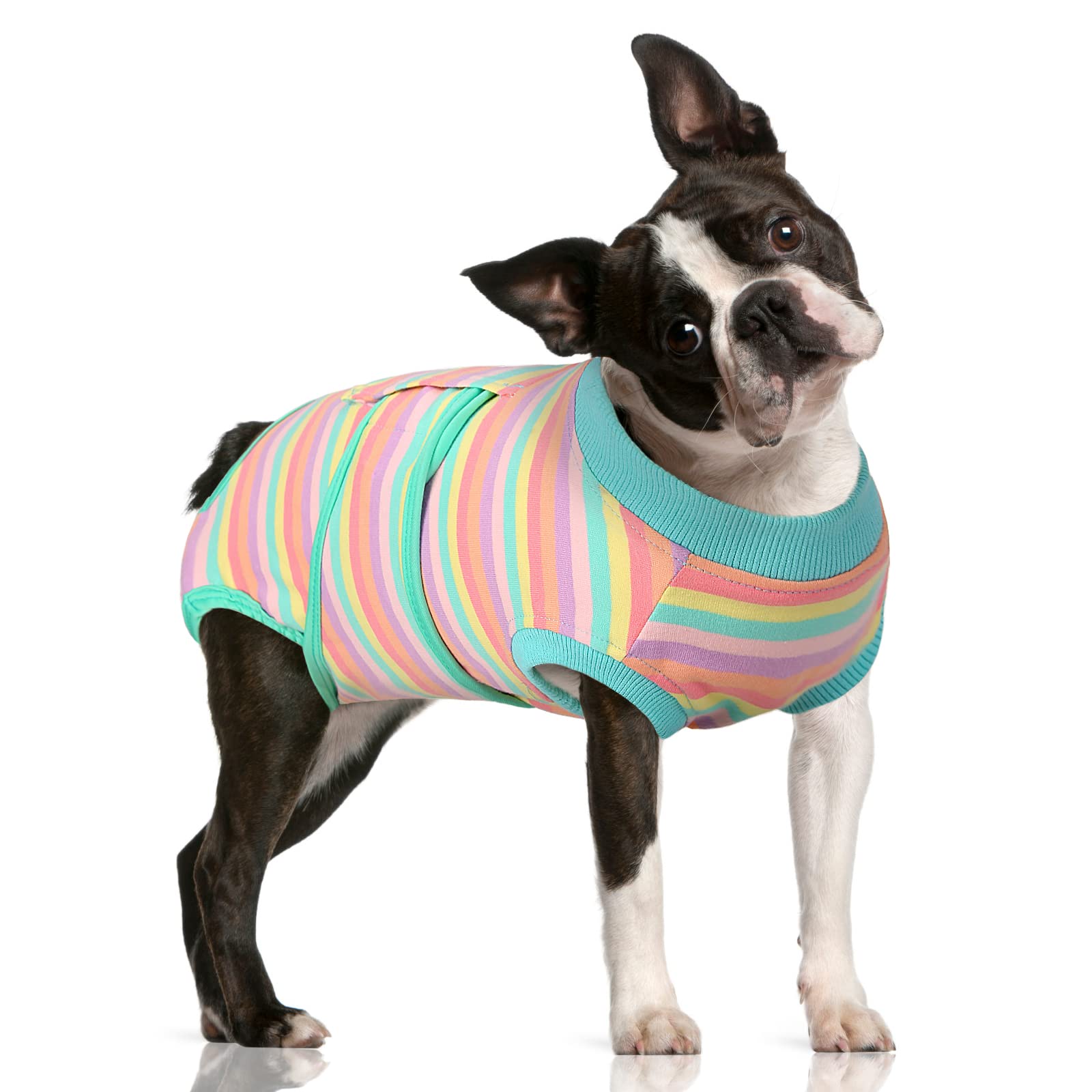FUAMEY traje recuperación para perros, rayas menta y comodidad postoperatoria.