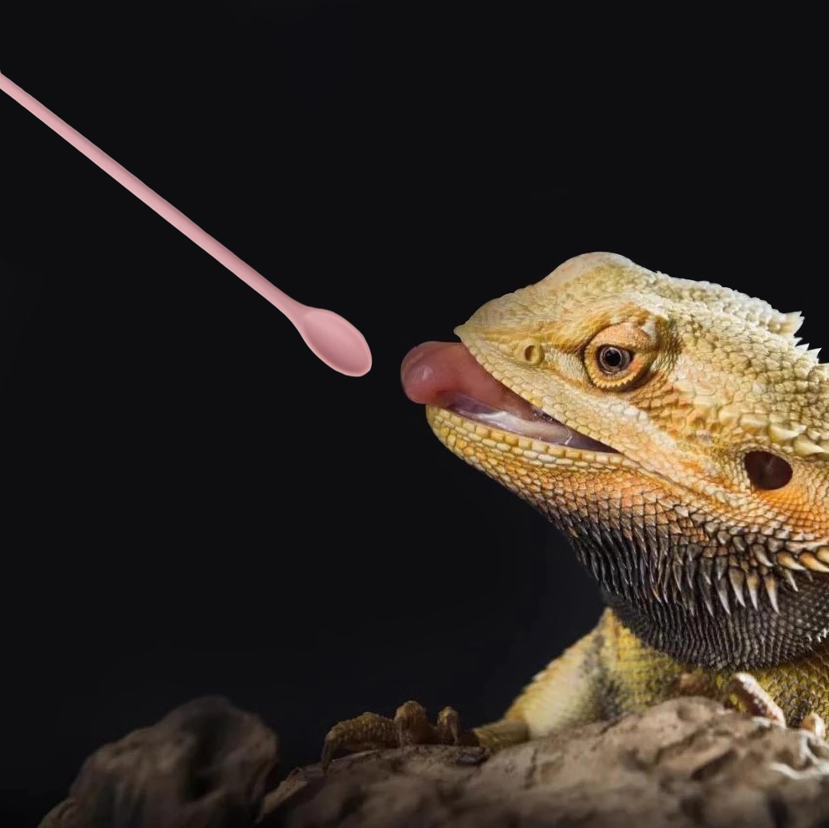 FUATY cuchara de silicona apta para alimentos, suave y segura.