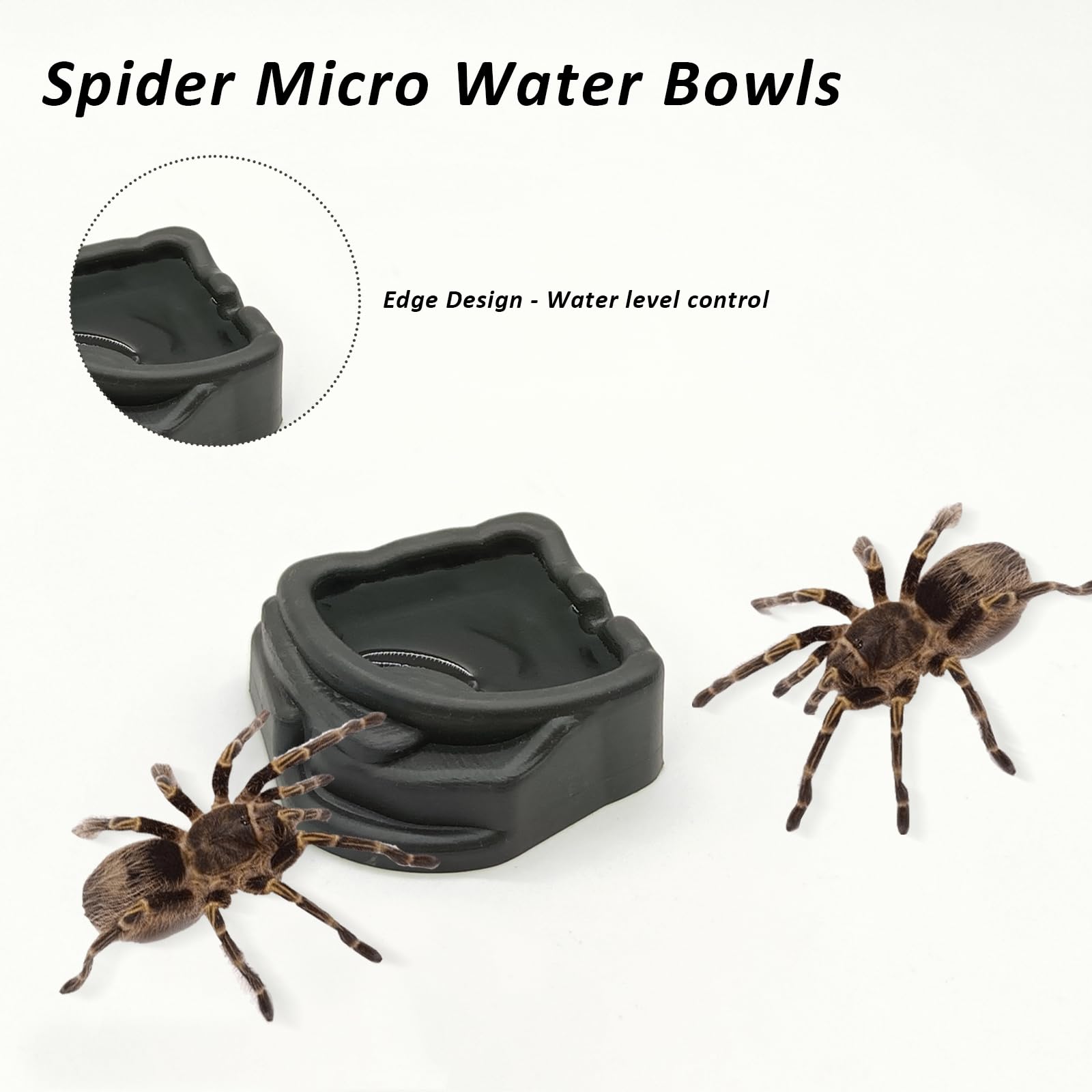 FUATY set-6-cuencos-resina: conjunto práctico para terrario con varias zonas.