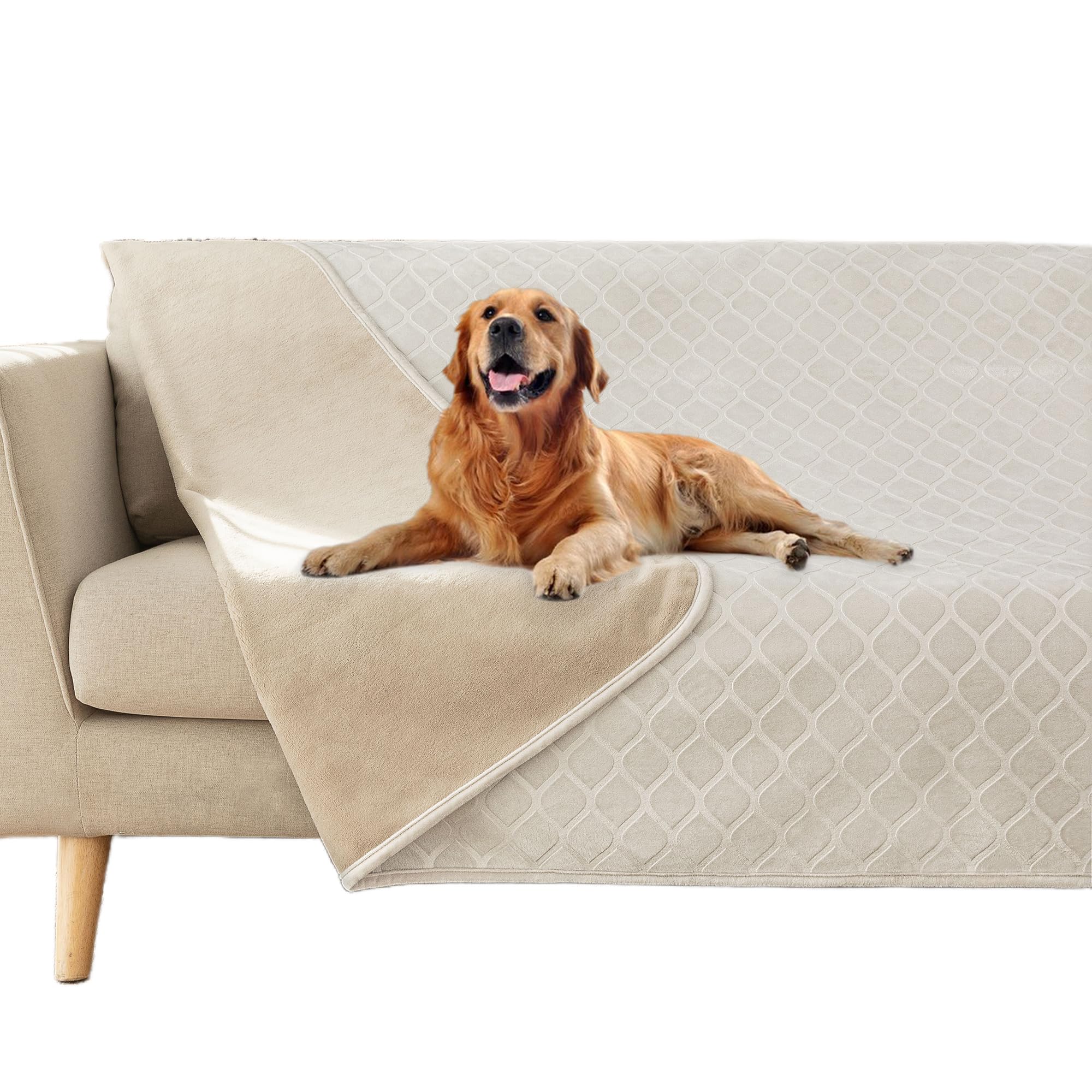 Couverture Fuguitex imperméable pour chien en velours cristal protégeant le canapé.