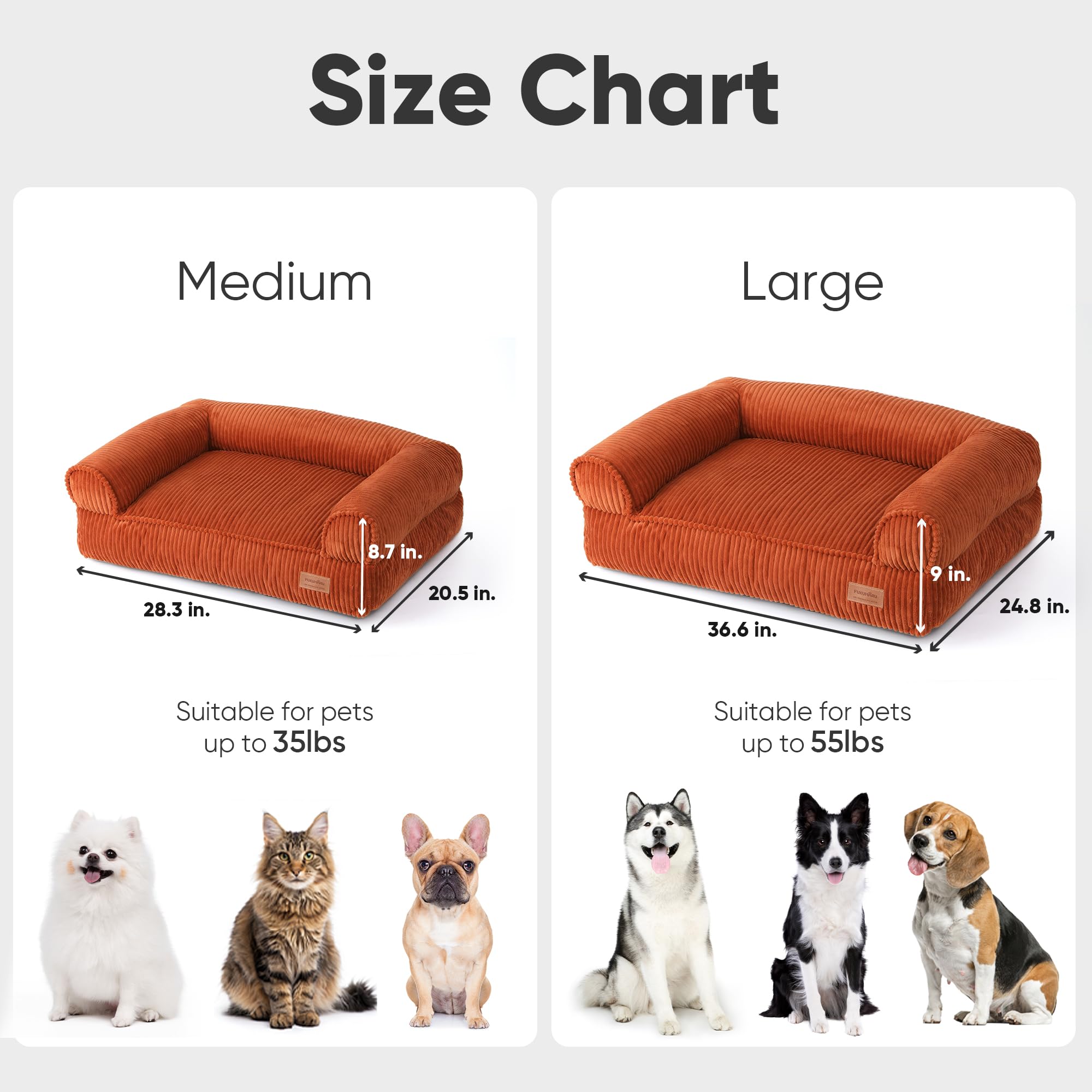 Tamaños disponibles: mediano y grande para gatos y perros pequeños