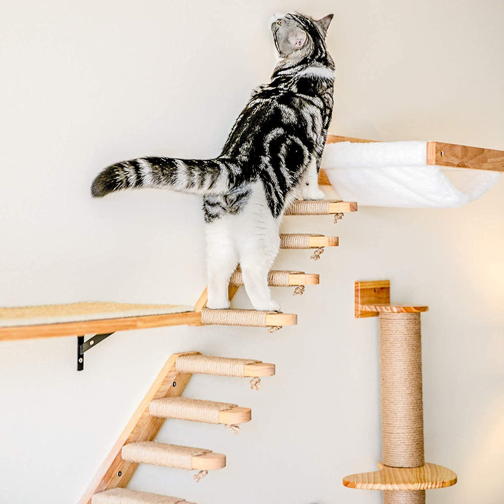 Diseño para ahorrar espacio FUKUMARU, aprovecha la altura para gatos.